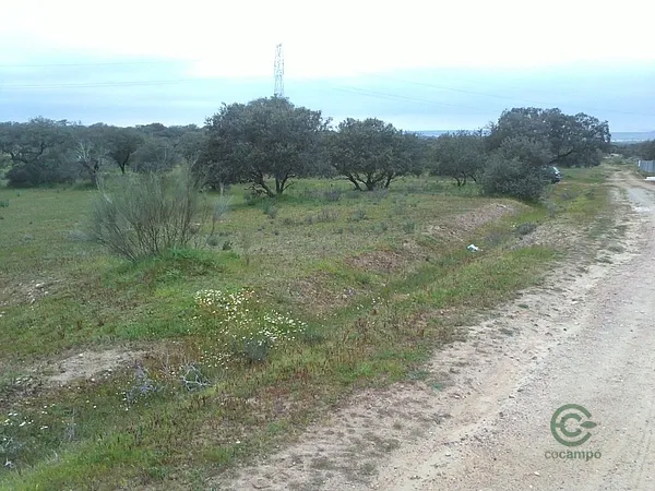 Spot image