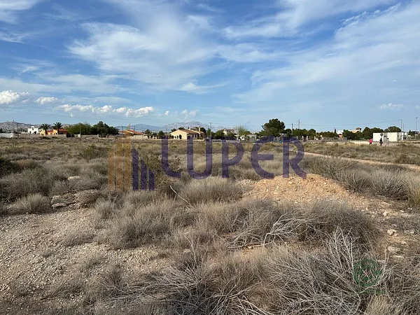 Spot image
