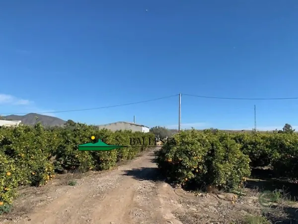Spot image