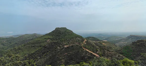 Spot image
