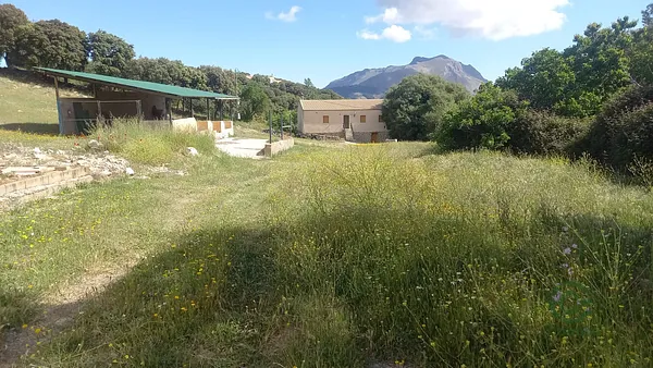 Spot image