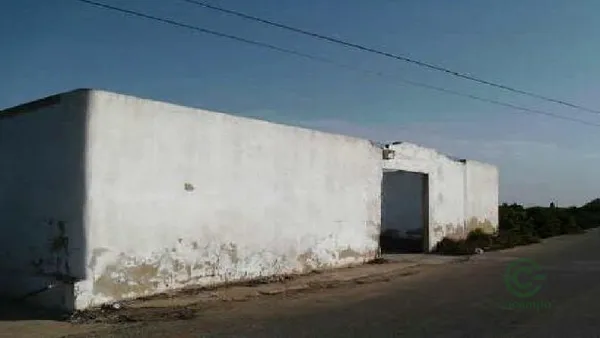 Spot image