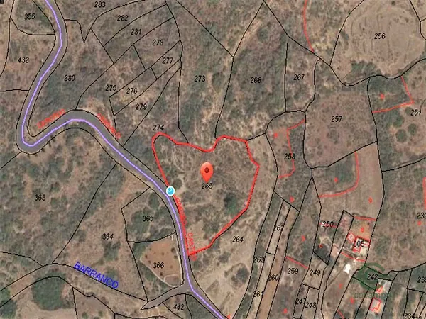 Spot image