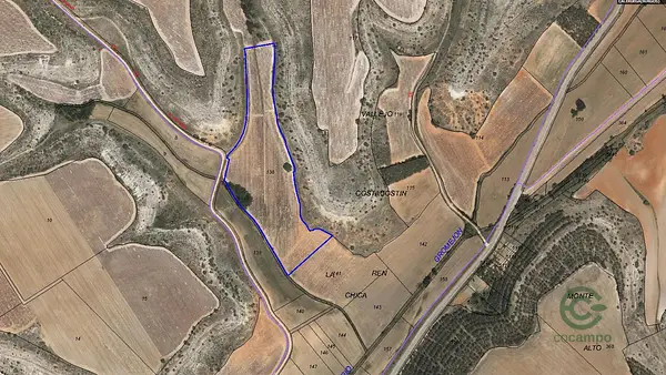 Spot image