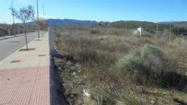 Spot image
