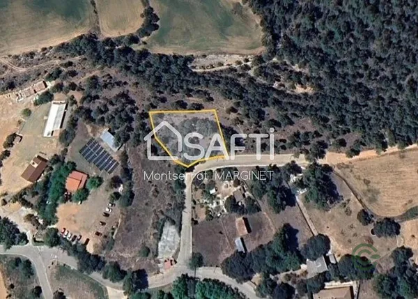 Spot image