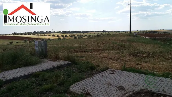 Spot image