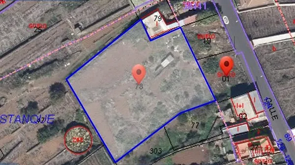 Spot image