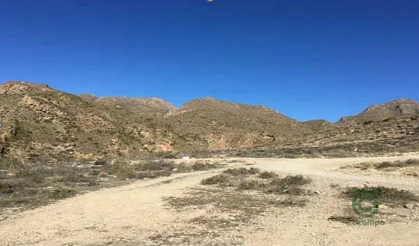 Spot image