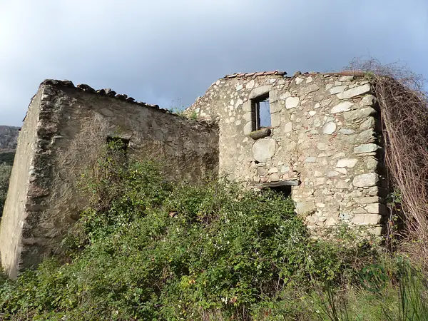 Spot image
