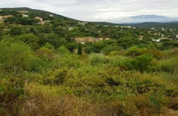 Spot image