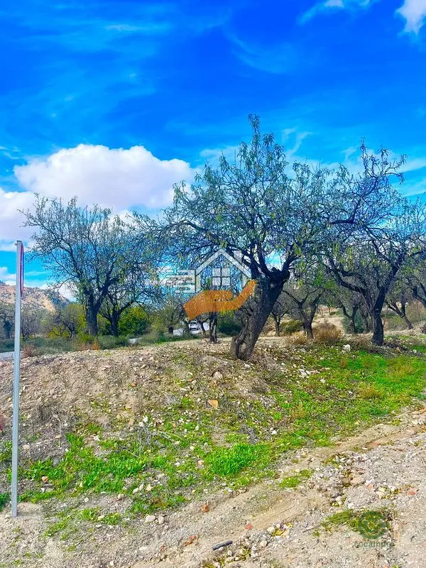 Spot image