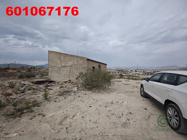 Spot image