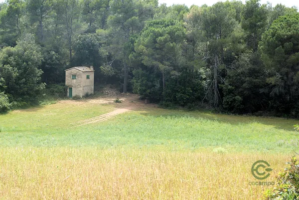Spot image
