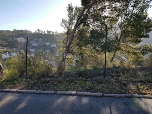 Spot image