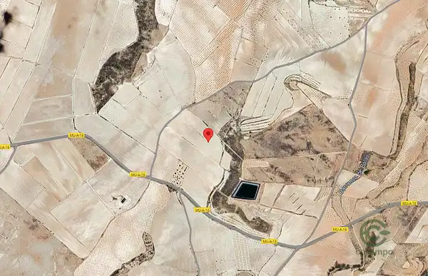 Spot image