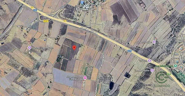Spot image