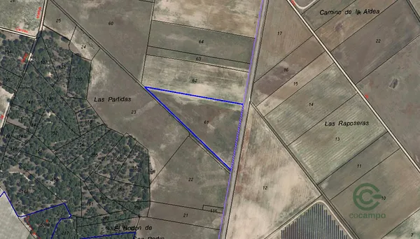 Spot image