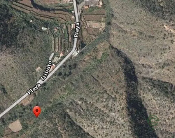 Spot image