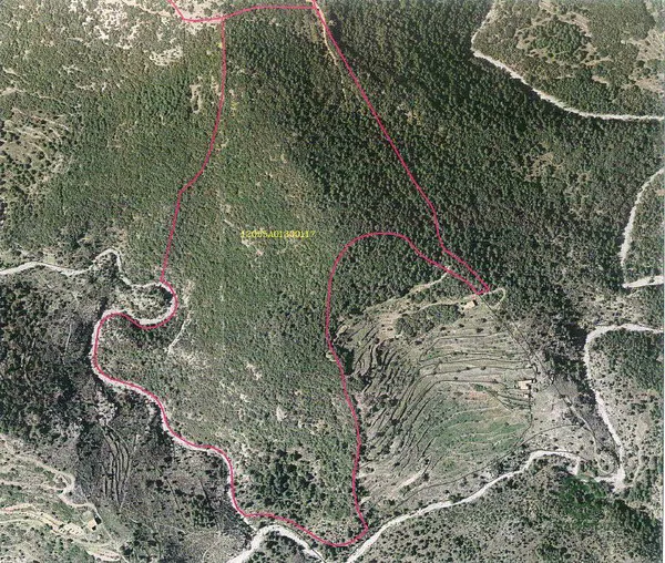 Spot image