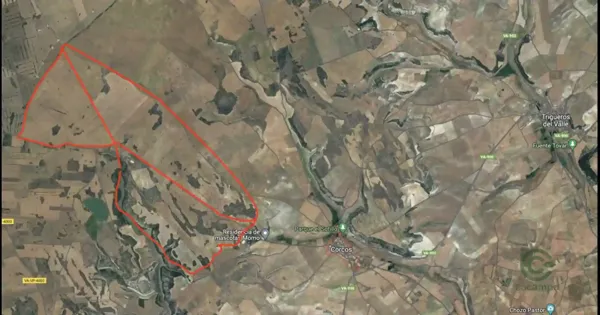 Spot image