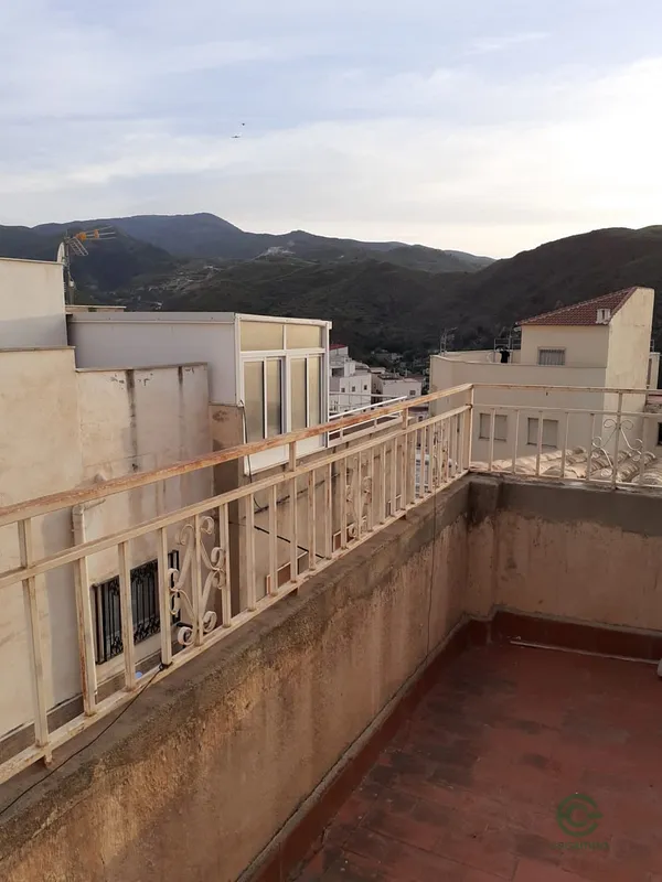Spot image