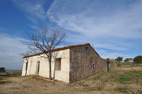 Spot image