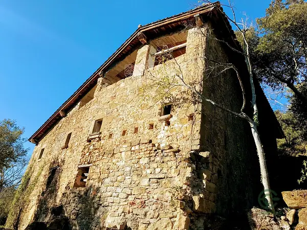 Spot image