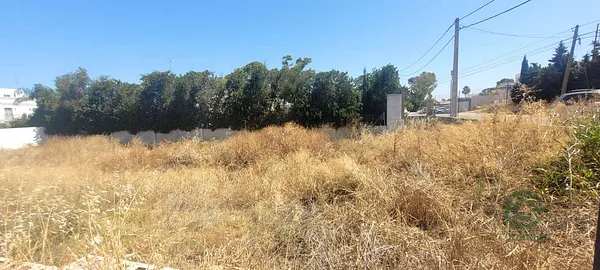 Spot image