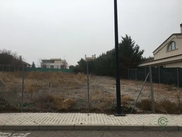 Spot image