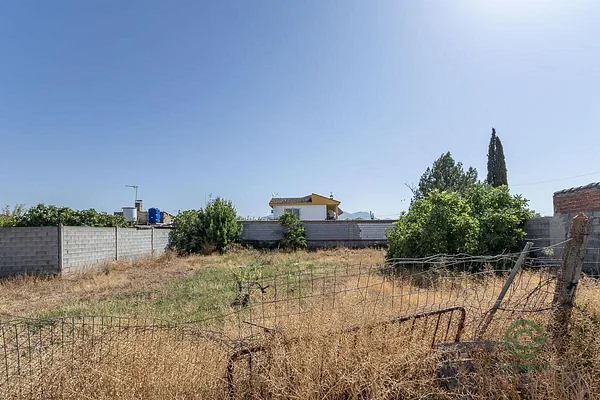 Spot image