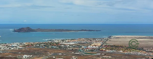 Spot image