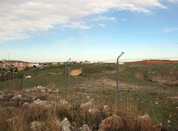 Spot image