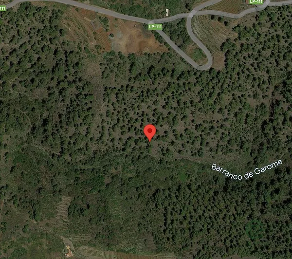 Spot image