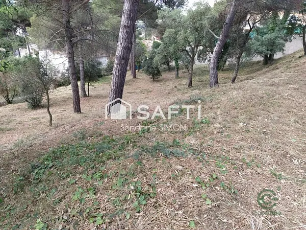 Spot image