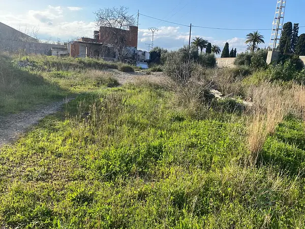 Spot image