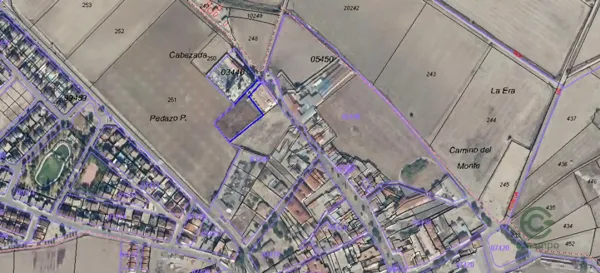 Spot image