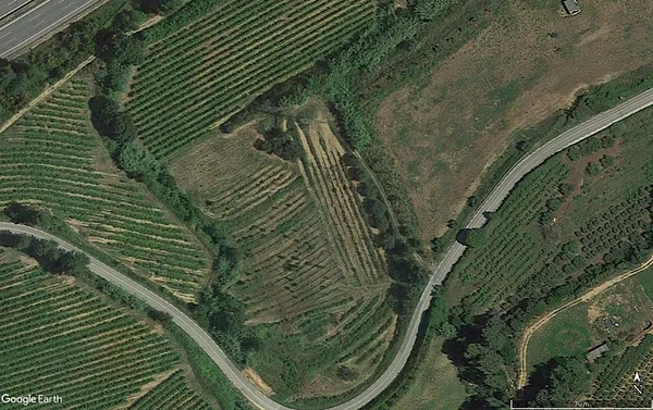 Spot image