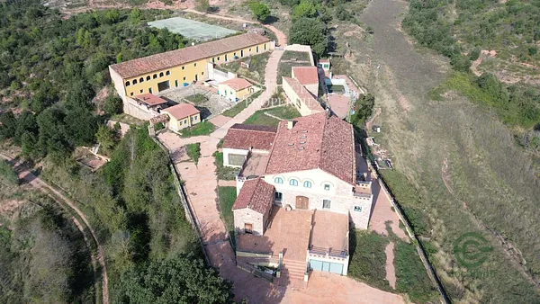 Spot image