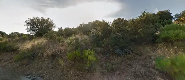 Spot image