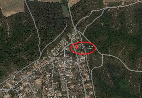 Spot image