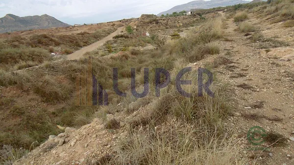 Spot image