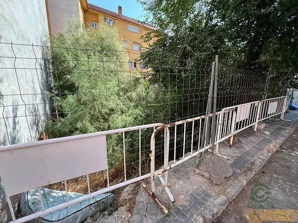 Spot image
