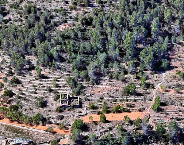 Spot image