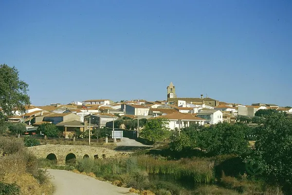 Spot image