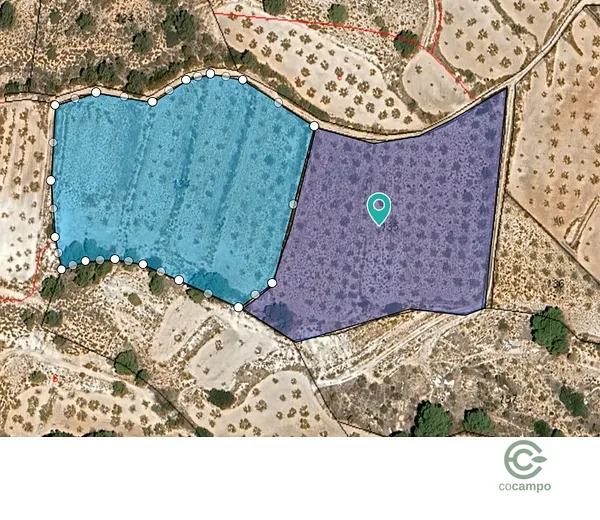 Spot image