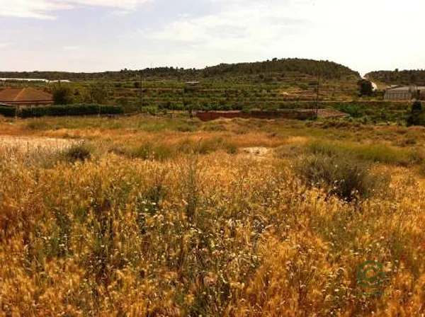Spot image