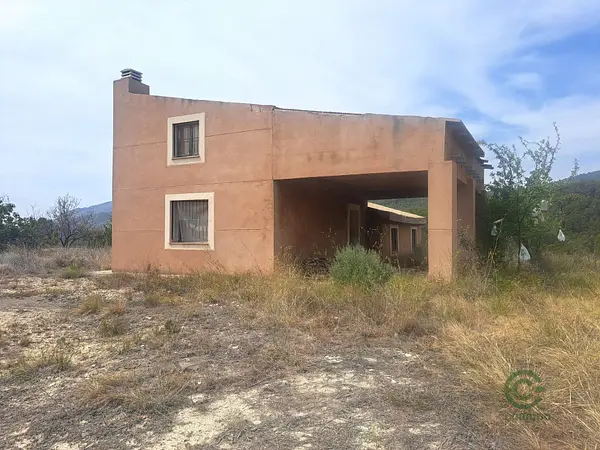Spot image