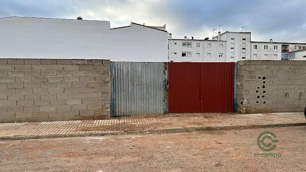 Spot image