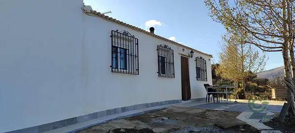 Spot image